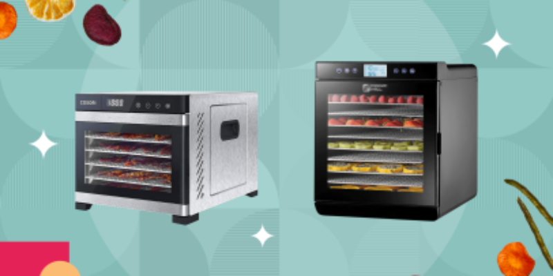 Top 10 Best Dehydrators of 2026